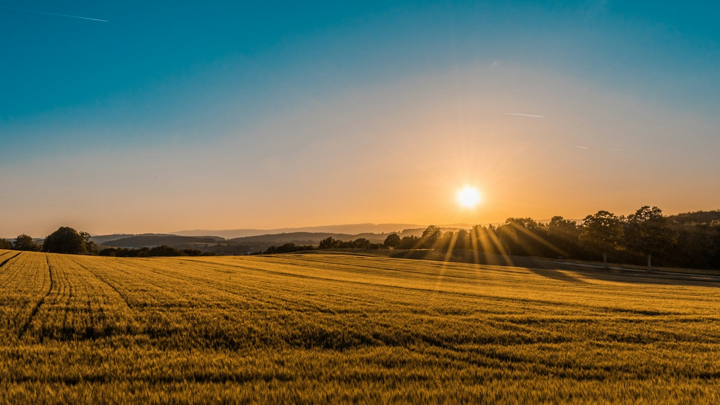 Terraced fields at dawn, illustrating seasonal agricultural income cycles